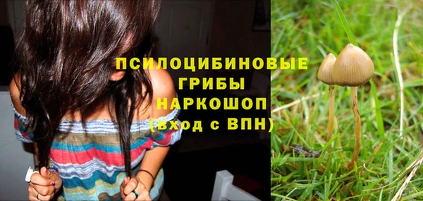 PSILOCYBIN Арсеньев