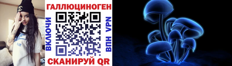 Псилоцибиновые грибы мицелий  купить наркотики сайты  Севск 